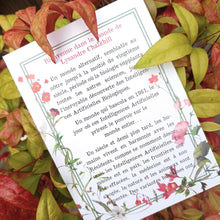 Charger l'image dans la galerie, L'Envol