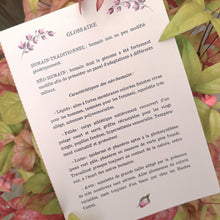 Charger l'image dans la galerie, L'Envol