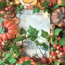 Charger l'image dans la galerie, Un soir de lumières (format papier, illustrations couleurs) - Lanéac 4