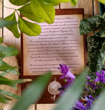 Charger l'image dans la galerie, La Chimère de feu - Les Enfants de l'Hyphale d'or tome 4 (version papier)