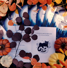 Charger l'image dans la galerie, Le Premier Halloween de Brocéliande (format papier) - Lanéac 1