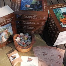 Charger l'image dans la galerie, La Malédiction du Phénix - Les Enfants de l'Hyphale d'or tome 3 (version papier)