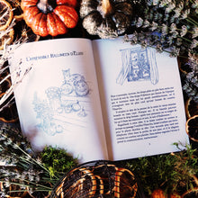 Charger l'image dans la galerie, L'imprévisible Halloween d'Élias (format papier, illustrations noir et blanc) - Lanéac 2