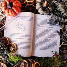 Charger l'image dans la galerie, L'imprévisible Halloween d'Élias (format papier, illustrations noir et blanc) - Lanéac 2