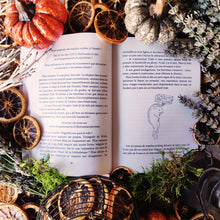 Charger l'image dans la galerie, L'imprévisible Halloween d'Élias (format papier, illustrations noir et blanc) - Lanéac 2