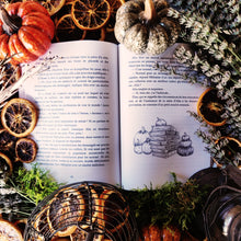 Charger l'image dans la galerie, L'imprévisible Halloween d'Élias (format papier, illustrations noir et blanc) - Lanéac 2