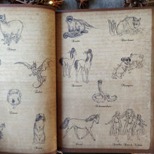 Charger l'image dans la galerie, Le Royaume des deux Couronnes en péril - Les Enfants de l'Hyphale d'or tome 2 (version papier)