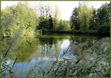 Charger l'image dans la galerie, Chétif et la Mort (version numérique)