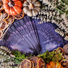 Charger l'image dans la galerie, L'imprévisible Halloween d'Élias (format papier, illustrations couleurs) - Lanéac 2