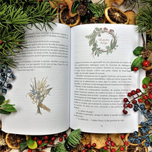 Charger l'image dans la galerie, Le secret de Miraldée (version papier)