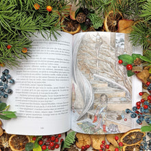 Charger l'image dans la galerie, Le secret de Miraldée (version papier)